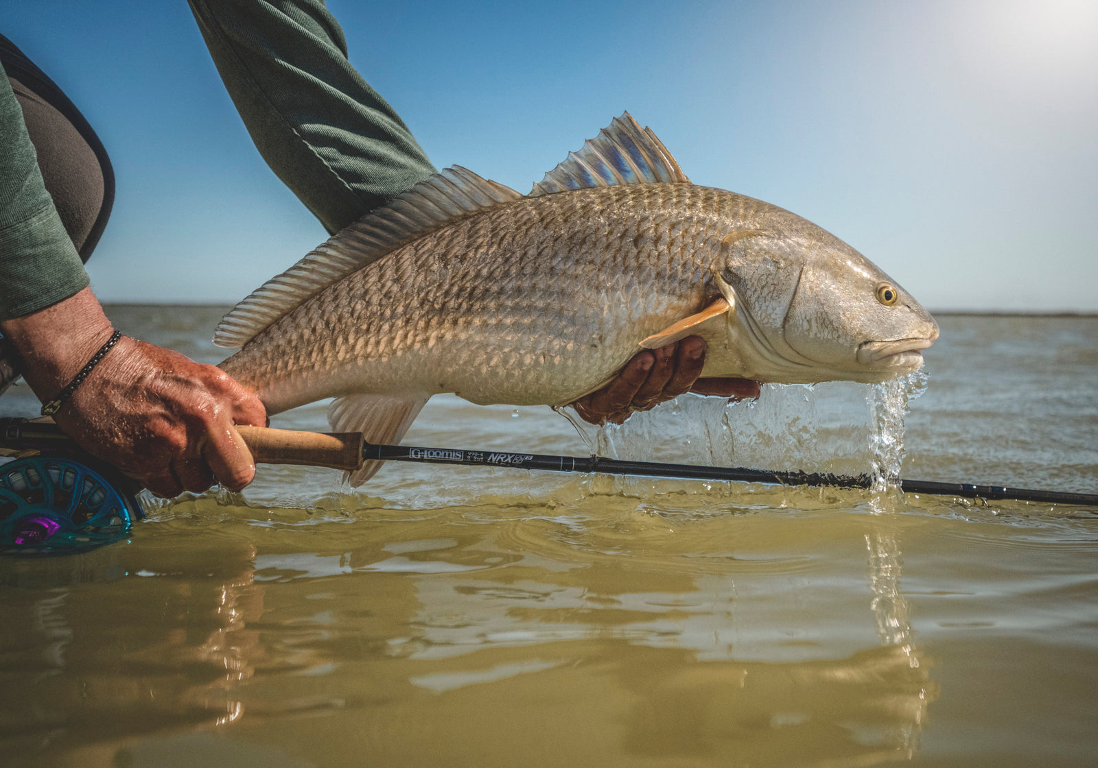 G Loomis NRX+ FLY SALTWATER detail image 4